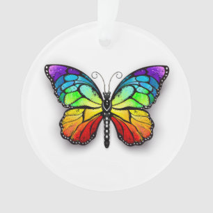 Papillon arc-en-ciel monarque