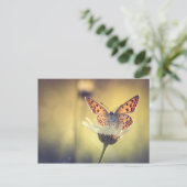 Papillon Argus Briefkaart (Staand voorkant)