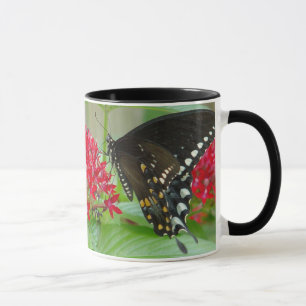 Papillon avec la tasse rouge de fleurs