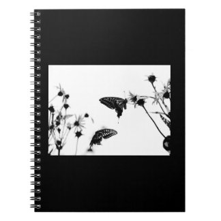 Papillon B/W sur un Carnet spiral 6,5x8,75