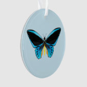 Papillon Birdwing (devant)