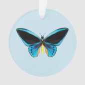 Papillon Birdwing (devant)