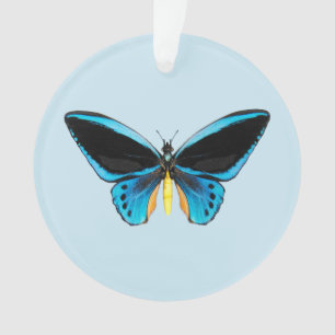 Papillon Birdwing