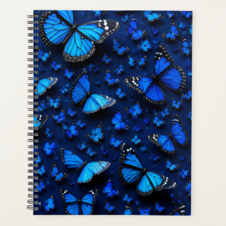 papillon bleu
