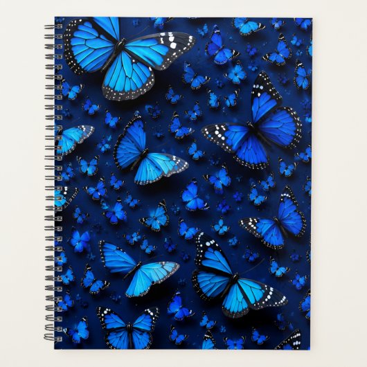 papillon bleu (Devant)