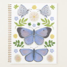 Papillon bleu creux