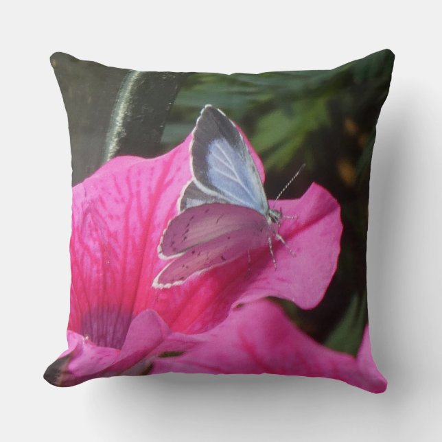 Papillon bleu de Holly sur Coussin de jet de fleur (Recto)