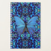 Papillon bleu du gestionnaire Sm (Devant)