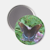 Papillon bleu et Brown ~ aimant (Recto/Verso)