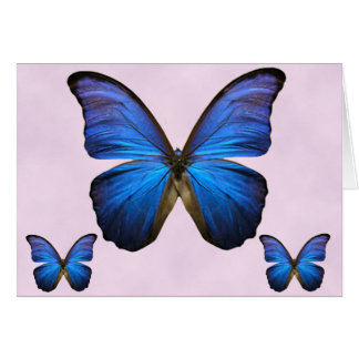 Papillon bleu magnifique de Morpho