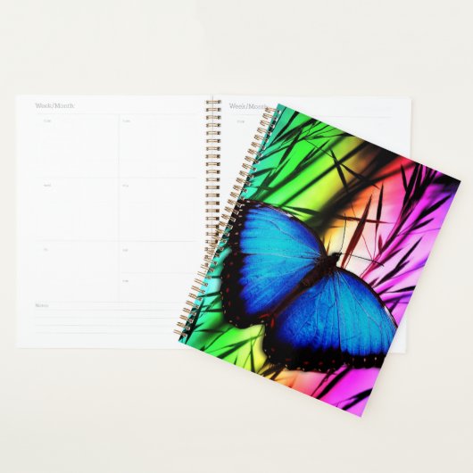 Papillon bleu Morpho (Devant avec enveloppe)