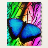 Papillon bleu Morpho (Dos)