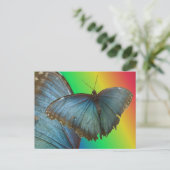 Papillon bleu Morpho & do-it-yourself carte postal (Debout devant)