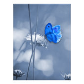 Papillon bleu photo imprimé (Devant)