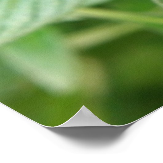 Papillon bleu tacheté Impression (Coin)