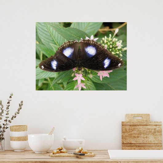 Papillon bleu tacheté Impression (Cuisine)