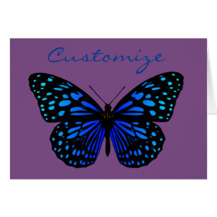 papillon bleu Thunder_Cove