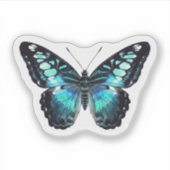 Papillon Blue Clipper Autocollant | Aquarelle (Devant)