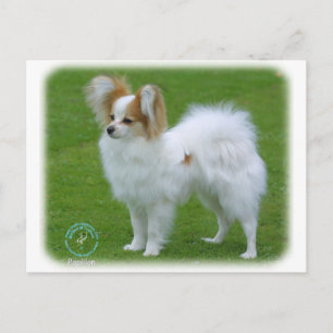 Papillon Briefkaart