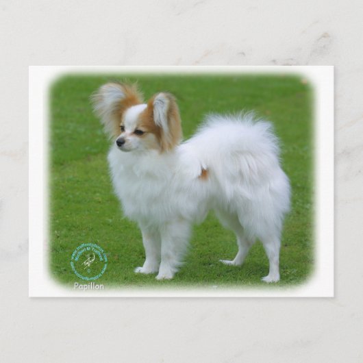 Papillon Briefkaart (Voorkant)