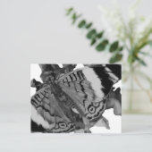 papillon briefkaart (Staand voorkant)