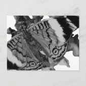 papillon briefkaart (Voorkant)