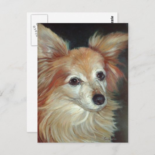 Papillon Briefkaart (Voorkant / Achterkant)