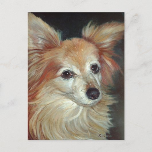 Papillon Briefkaart (Voorkant)