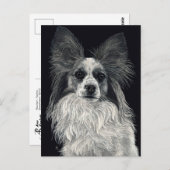 Papillon Briefkaart - "Sparkles" (Voorkant / Achterkant)