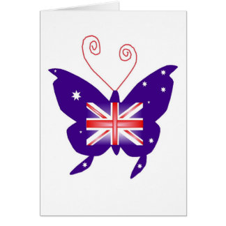 Papillon britannique Diva