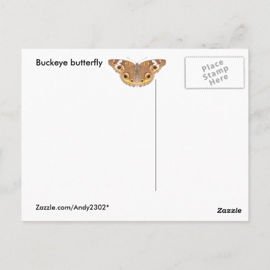Papillon Buckeye ~ carte postale (Dos)