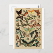Papillon Butterfly Wings Vintage Postcard Briefkaart (Voorkant / Achterkant)