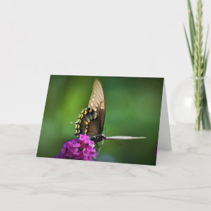 Papillon, carte