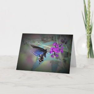 Papillon, carte