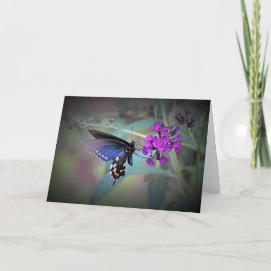 Papillon, carte (Devant)