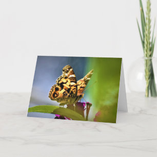 Papillon, carte
