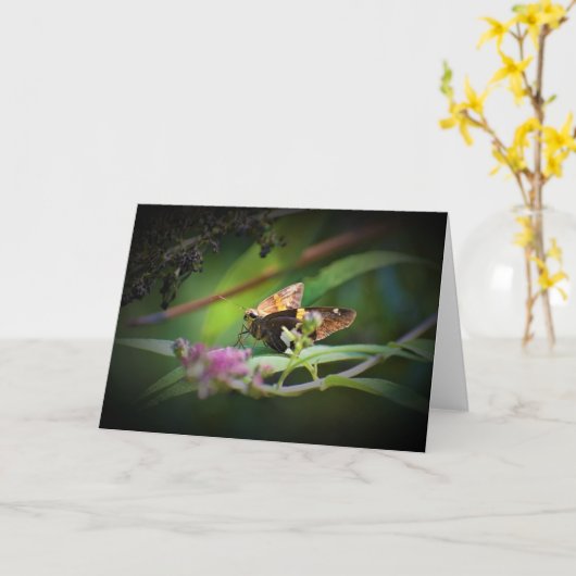 Papillon, carte (Fleur jaune)