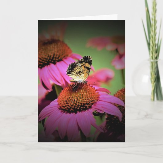Papillon, carte (Devant)