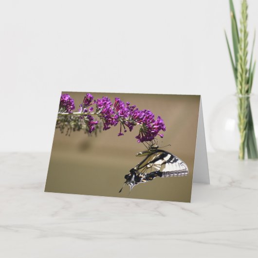 Papillon, carte (Devant)