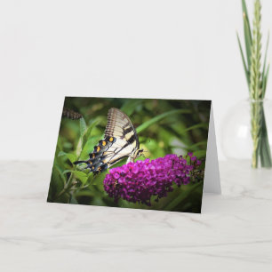 Papillon, carte