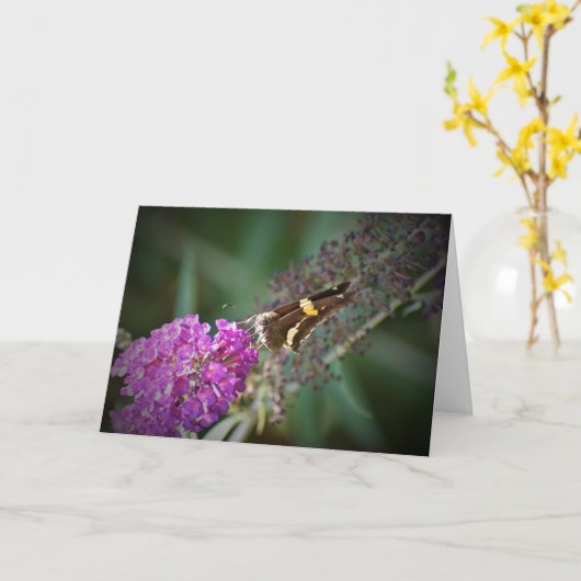 Papillon, carte (Fleur jaune)