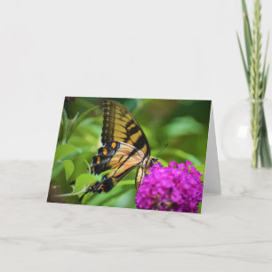 Papillon, carte