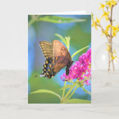 Papillon, carte (Fleur jaune)