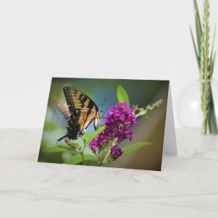 Papillon, carte