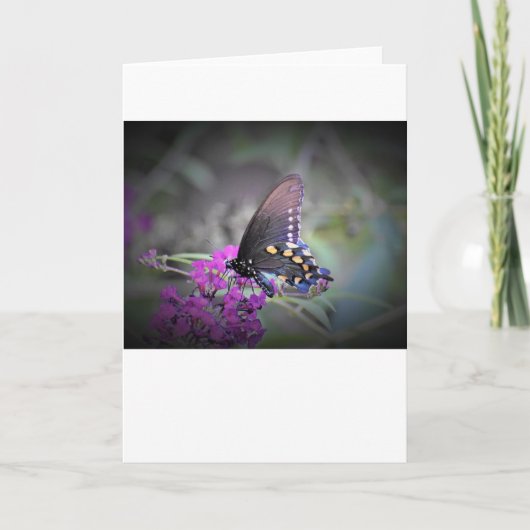 Papillon, carte (Devant)