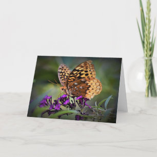 Papillon, carte