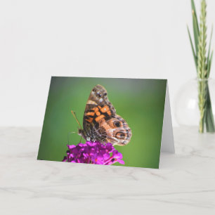 Papillon, carte