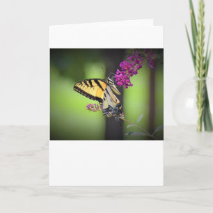 Papillon, carte