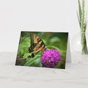 Papillon, carte