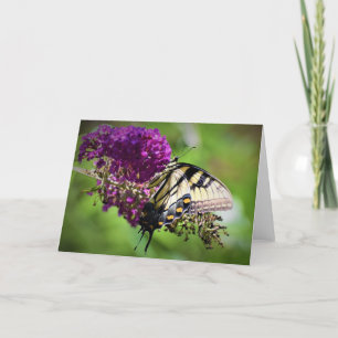Papillon, carte